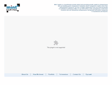 Tablet Screenshot of mintcap.ru